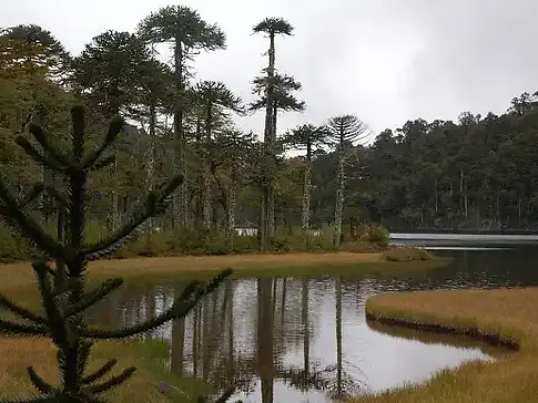 huerquehue-national-park.jpg.webp