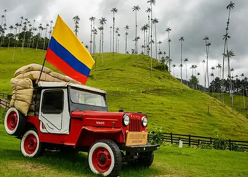 VALLE-DE-COCORA-WILLYS.jpg.webp