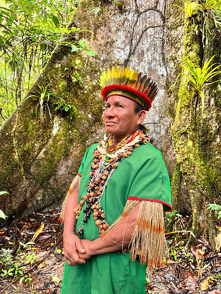 Colombia, Ecuador, Amazonía, Cuyabeno, Cerros de Mavecure, Guainía, Waorani, Achuar, comunidades indígenas, pueblos amazónicos, selva amazónica, territorio ancestral, cultura ancestral, cosmovisión indígena, Orinoco, ríos amazónicos, lagunas, canoa, delfines rosados, fauna salvaje, monos, caimanes, aves tropicales, biodiversidad, selva tropical, naturaleza virgen, formaciones rocosas ancestrales, expedición, aventura, trekking, navegación, destinos remotos, experiencias auténticas, convivencia indígena, ecoturismo, turismo sostenible, viaje de autor, Colombia auténtica, Ecuador auténtico, Sudamérica, DMC Colombia, DMC Ecuador, Alma Nativa Latam.