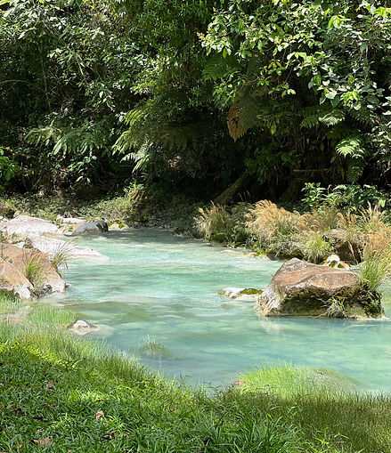 Alma Nativa Latam / Río Celeste