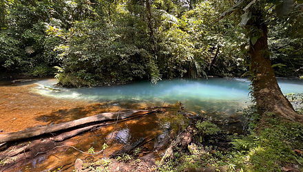 Alma Nativa Latam / Río Celeste