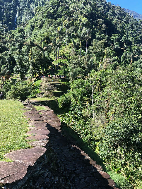 IMG-1955.JPG