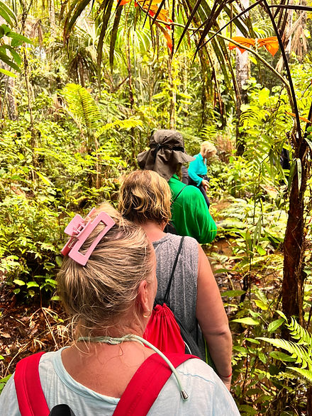 Ecuador es un destino fascinante donde los Andes, la Amazonía, los volcanes, las ciudades coloniales y la costa del Pacífico se unen en un solo país. Descubre Quito, la Avenida de los Volcanes, mercados indígenas y una biodiversidad extraordinaria. Completa la experiencia en las Islas Galápagos, uno de los ecosistemas más únicos del planeta, hogar de tortugas gigantes, iguanas marinas, leones marinos y especies que inspiraron la teoría de la evolución de Darwin.