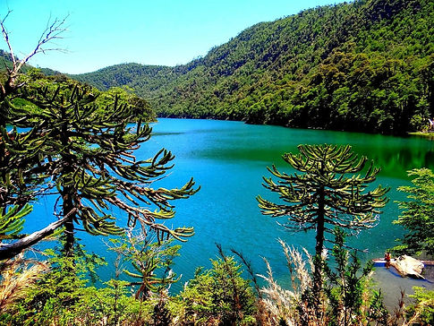 huerquehue-national-park.jpg