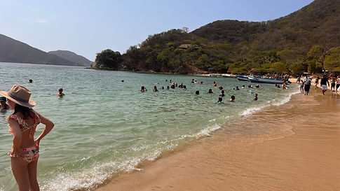 IMG_2500.jpeg