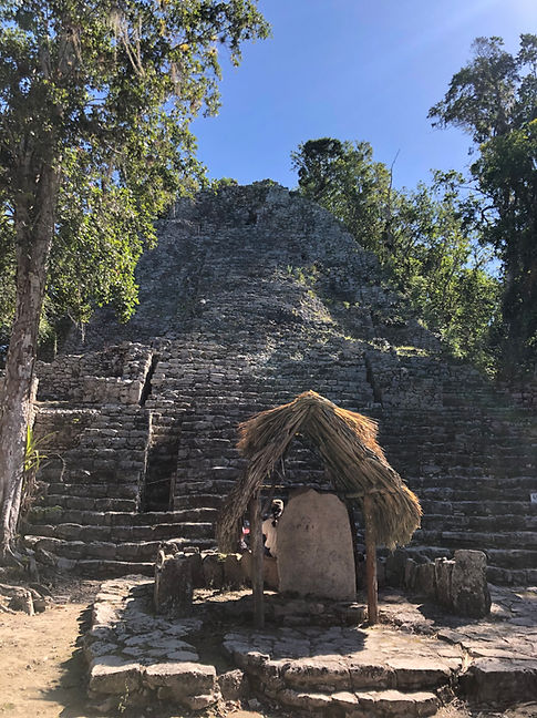 Alma Nativa / Coba