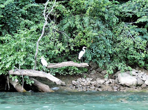 Heron sinkhole Ranatours_edited.jpg