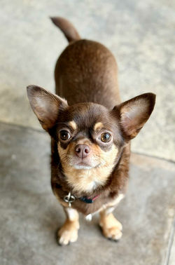 2336c8c7-b2c0-4d23-b4cf-a9adb8b00174