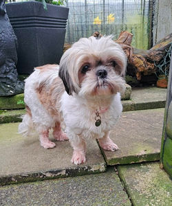 e6933f5c-d692-4a81-a4ec-fce10c7f11b9