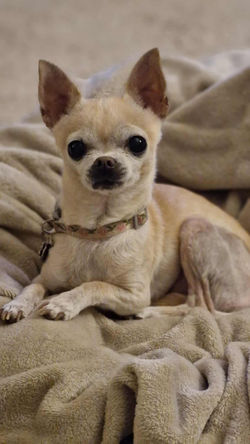 ef8852e2-13b8-4052-9359-fa61cc826f68