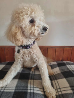 9db75b4c-3a3a-4a5f-9515-fc25aca12078