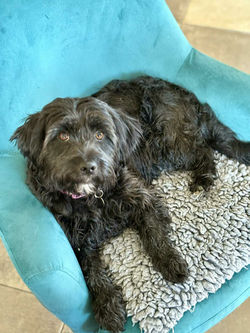 d2d996b9-ad42-4486-a81c-ce6e3030180b