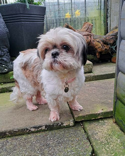 b5a256bb-cdba-4a7a-908d-82df814b2a62