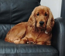 Julia (Bridlington)