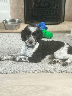 04d7b9ba-e1a0-4cf8-9ff7-3736ae409655