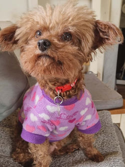 555a602e-46c7-4bfc-84d5-25e7731a3633