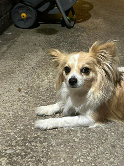 ec111668-19f1-43c9-835a-6483383b4105