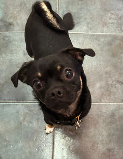 4044fba1-e2c2-4e00-ad29-ea93abb7e9e3