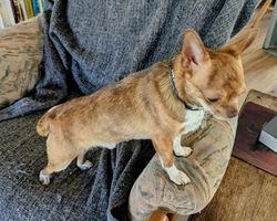 f5d0de4b-4b8c-4147-ad6d-909476825bed