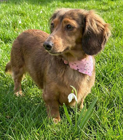 1c8b6661-5068-4909-ba66-26c2c2359a51