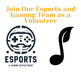 Volunteer Opportunities in Nature of Sound's Gaming & Esports Department 