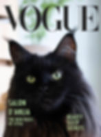 Dahlia Vogue cover 4 Chicago Black Cat