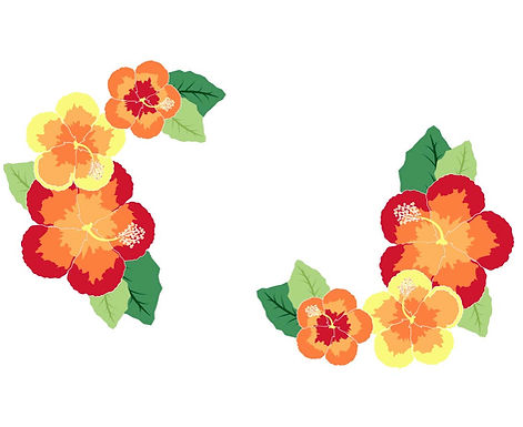 Hibiscus.jpg