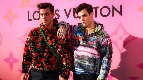twins-promo-vw.jpg