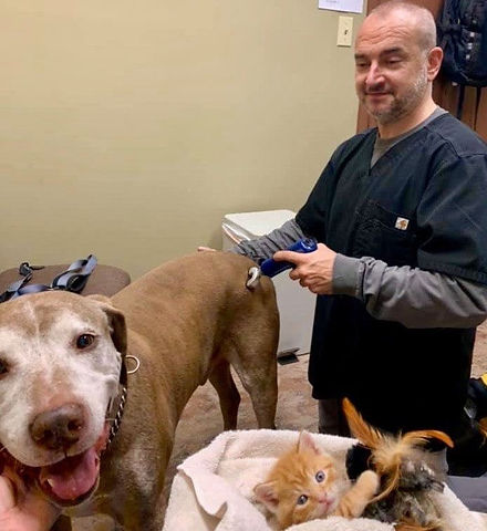 Dr. Savko treating in vet office