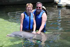 photo of guest family with a dolphin by the beach