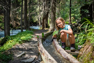 kinder_entdecken_die_natur_im_nationalpark_hohe_tauern-original.jpeg