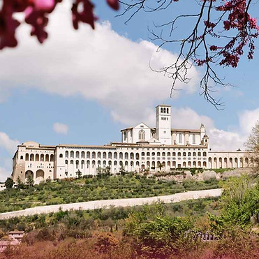 ASSISI KVĚTY  (1).jpg