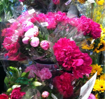 Peonies Galore!