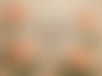 🌙 Cycles féminins & saisons : une sagesse oubliée qui te reconnecte à toi