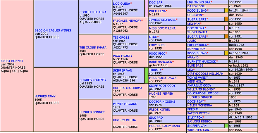 Screenshot 2025-06-24 at 7.17.44 PM.png