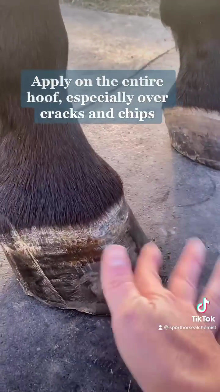 Thumbnail: Hoof Balm