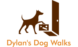 dog walking stansted, dog walking stansted, dog walking stansted, doggy day care stansted, doggy day care stansted, dog walking stansted, dog walking stansted.