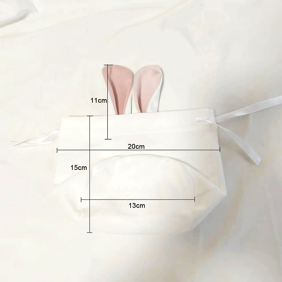 Thumbnail: Bunny Ears Gift Bag