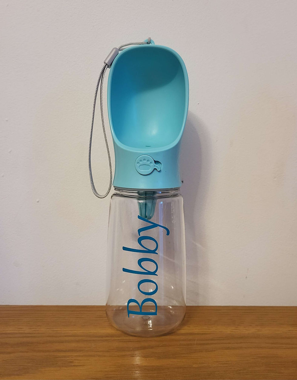 Thumbnail: Water bottle for dogs