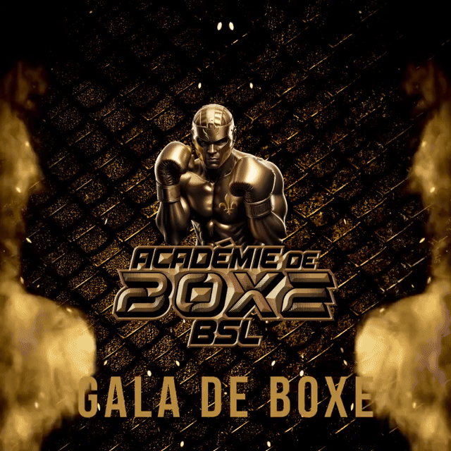 Gala de boxe.gif