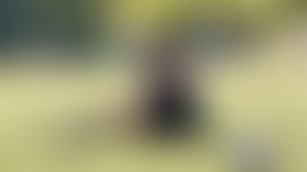 5 common Football (soccer) Injuries