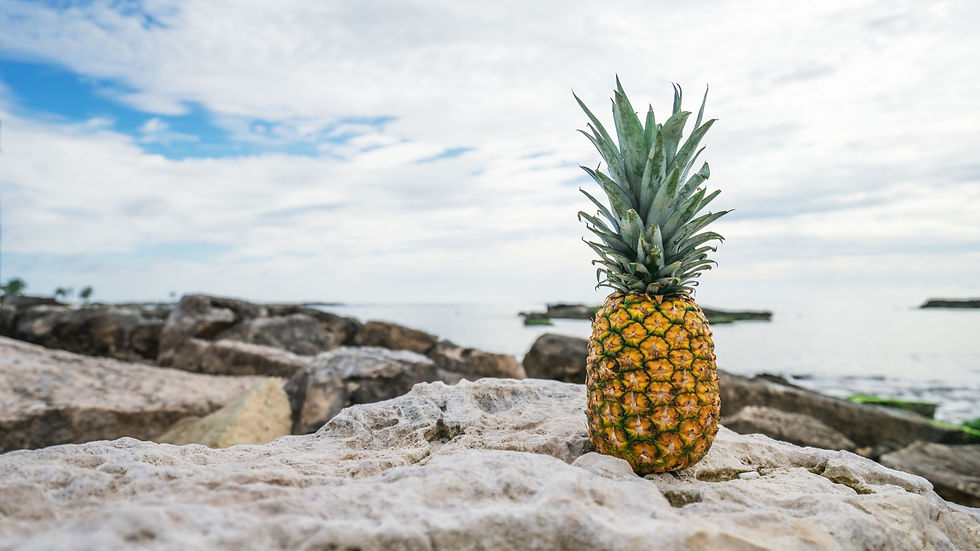 pineapple_rocks_beach_110226_1920x1080.jpg