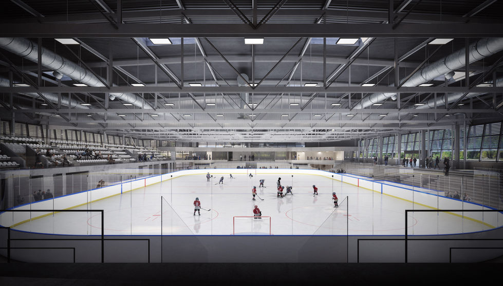 a group of hockey players are playing on a rink