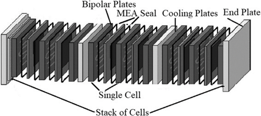 bipolar plates for permeable exchange membrane