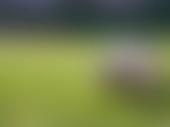 長嶋茂雄さん 「もう一つの21年」