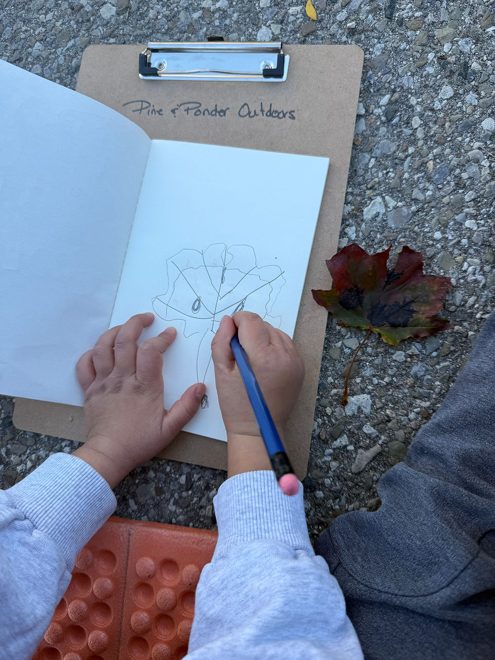 A Season of Colour, Curiosity, and Firsts: My First Fall of In-School Nature Journaling Programs