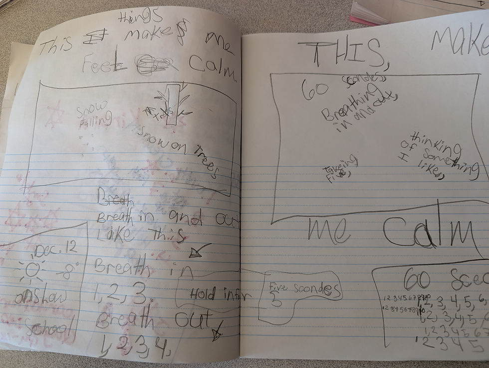 Example of one of the Gr. 2 Students Nature Journal entry!