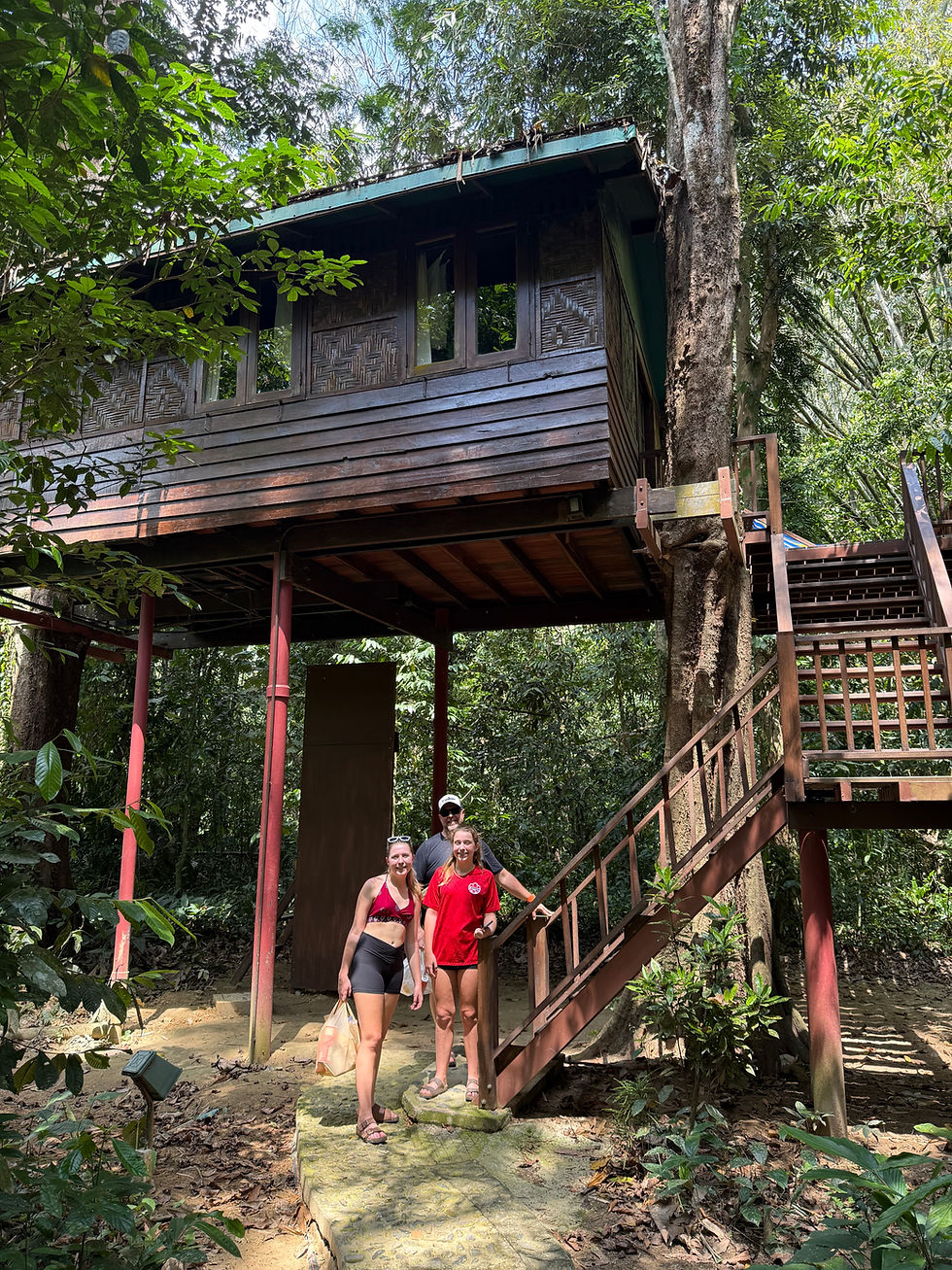 Our Jungle House Tree House