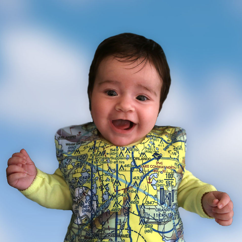 Custom U.S. Aeronautical Chart Baby bib