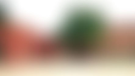 নানা সমস্যায় জেরবার জেলা স্কুল